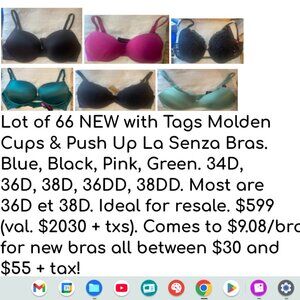 Lot of 66 NEW with Tags Molden Cups & Push Up La Senza Bras - Ideal for resale